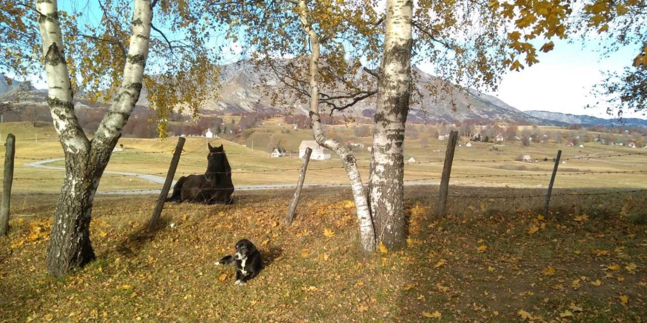 Organic Family Farm Otel Žabljak Dış mekan fotoğraf