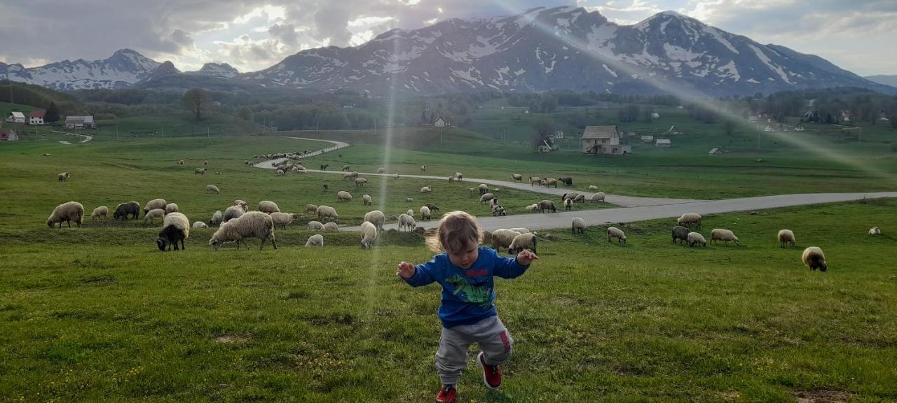 Organic Family Farm Otel Žabljak Dış mekan fotoğraf