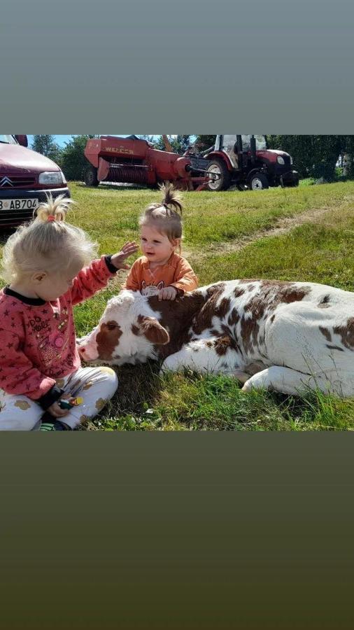 Organic Family Farm Otel Žabljak Dış mekan fotoğraf