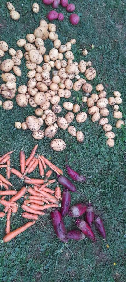 Organic Family Farm Otel Žabljak Dış mekan fotoğraf