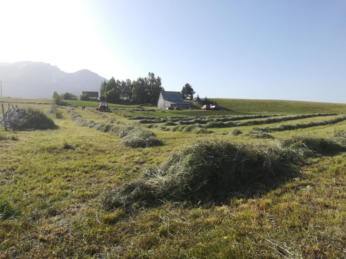 Organic Family Farm Otel Žabljak Dış mekan fotoğraf