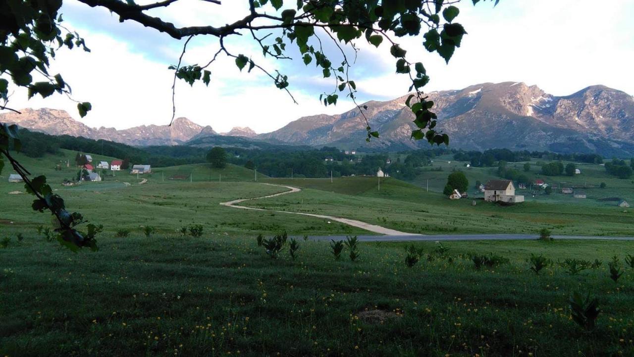 Organic Family Farm Otel Žabljak Dış mekan fotoğraf