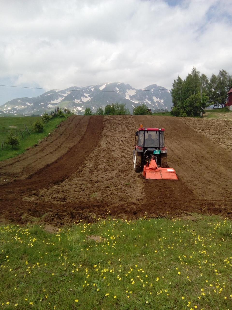 Organic Family Farm Otel Žabljak Dış mekan fotoğraf