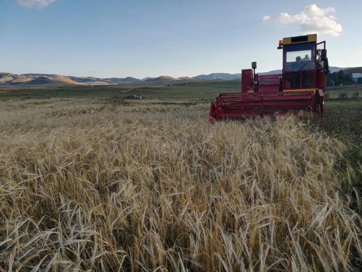 Organic Family Farm Otel Žabljak Dış mekan fotoğraf